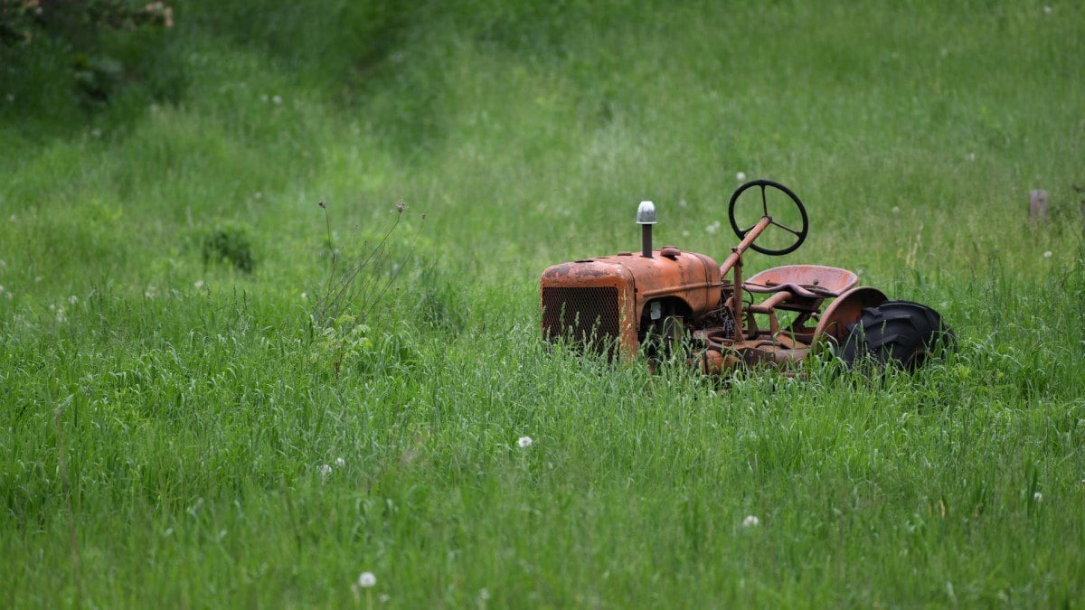 Batteridrivna gräsklippare bäst i test – hitta den bästa batteridrivna gräsklipparen 2024! eliza-diamond-vQ5YK39bQh8-unsplash